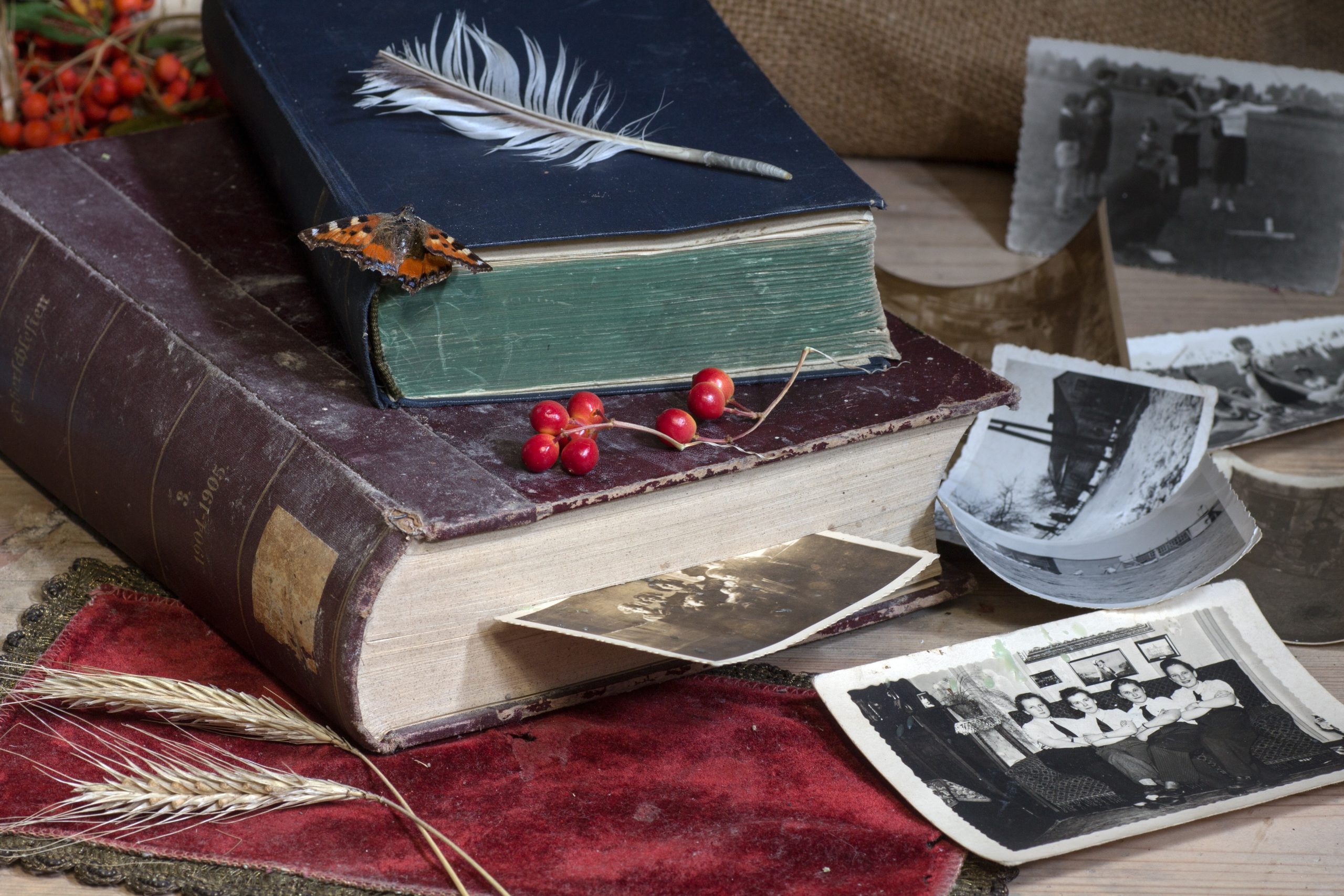 domeckopol still life 940113