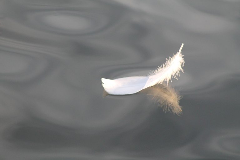 ok feather 5710948 1920