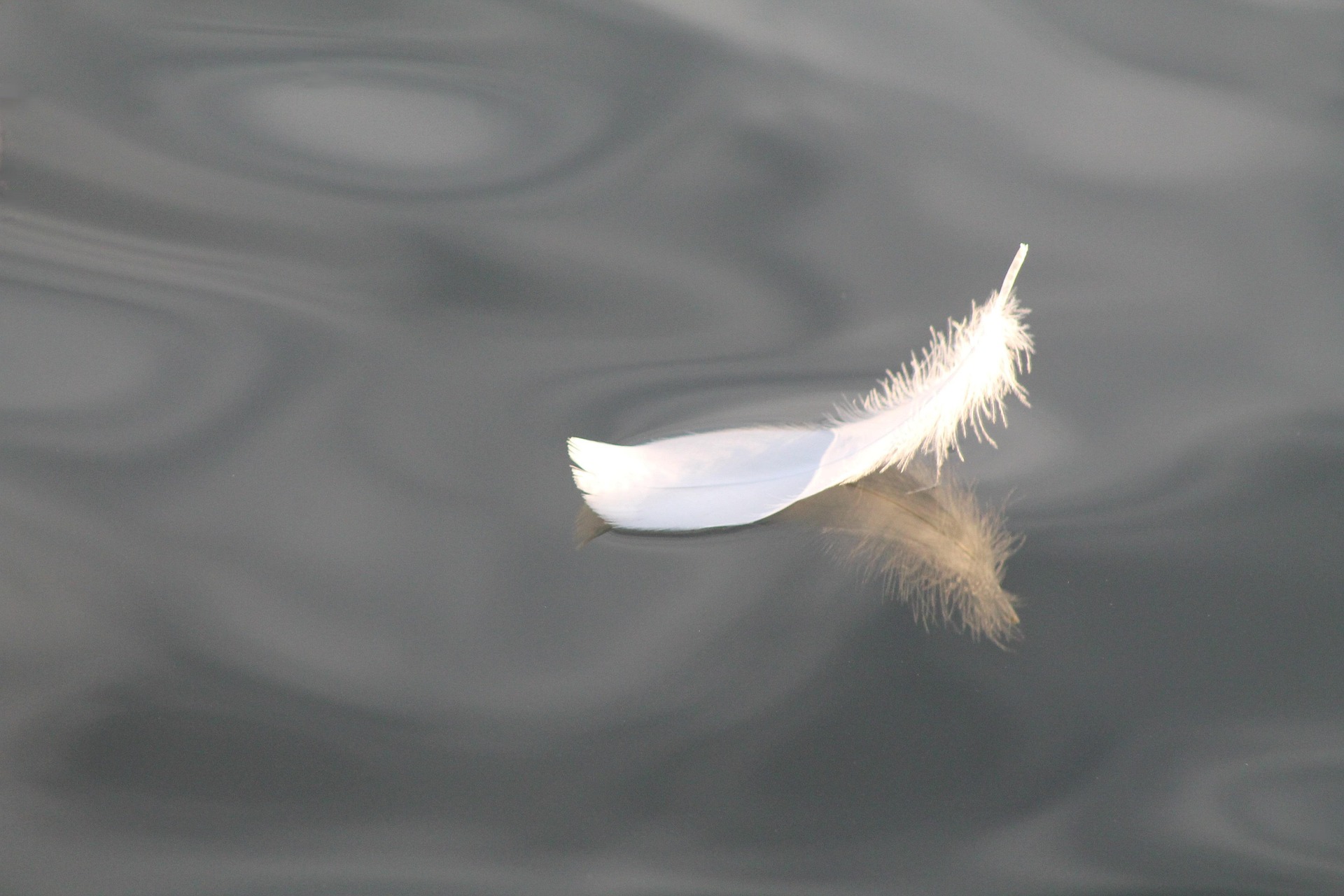 ok feather 5710948 1920